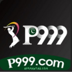 P999 Game