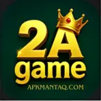 2A Game